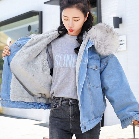 Manteau Chaud en Coton avec Capuche - Denim Élégant, Style Bomber.